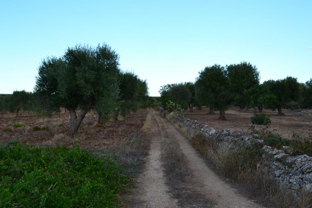 Le Terrazze B&B Manduria Esterno foto