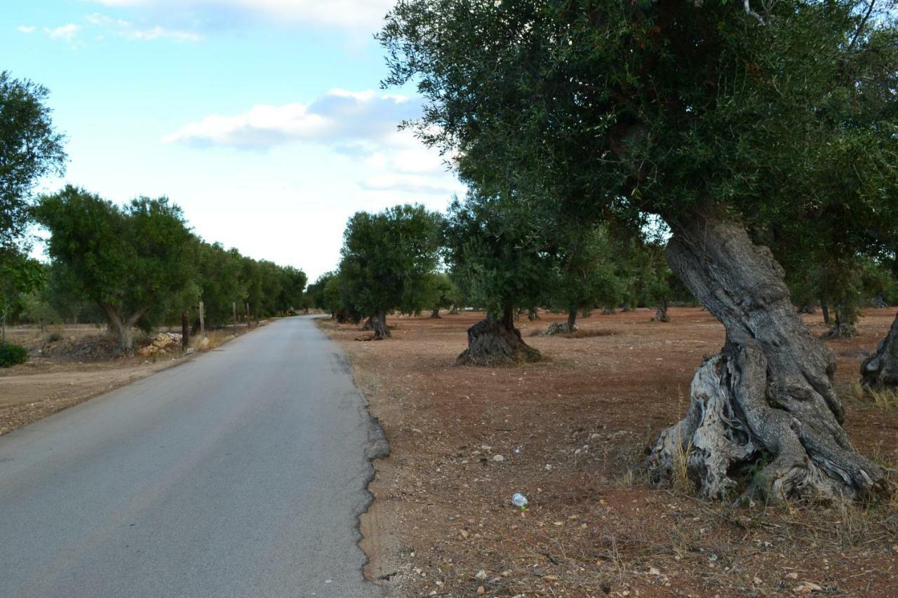 Le Terrazze B&B Manduria Esterno foto